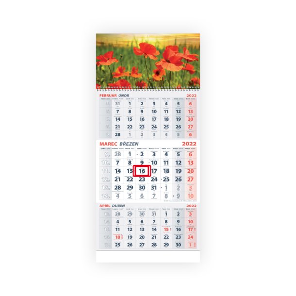 Nástenný kalendár Divé maky 2022